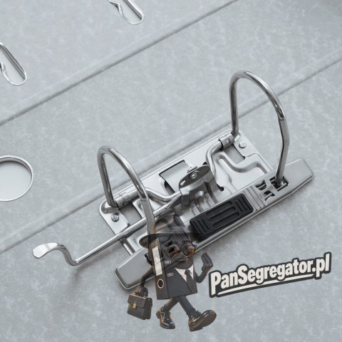 Segregator ekonomiczny A4/75mm biały 11250 ESSELTE