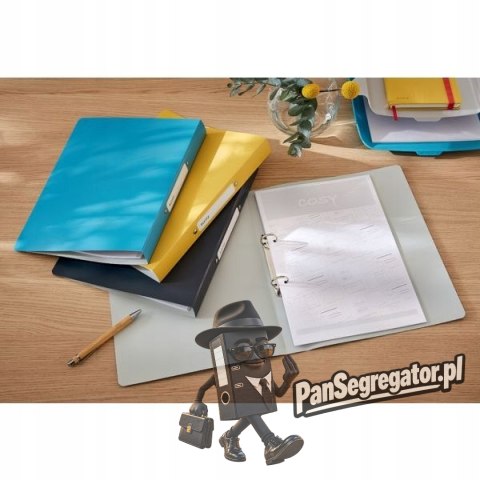 Segregator 2ringowy Leitz Cosy, niebieski 42380061