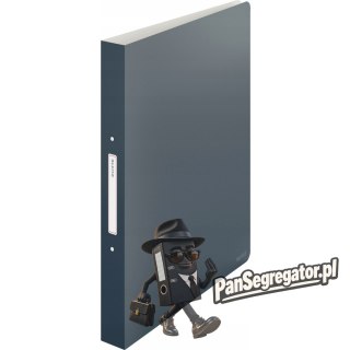 Segregator 2ringowy Leitz Cosy, szary 42380089