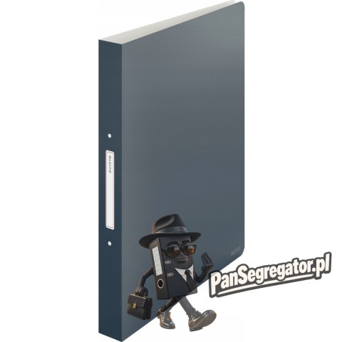 Segregator 2ringowy Leitz Cosy, szary 42380089