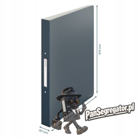 Segregator 2ringowy Leitz Cosy, szary 42380089