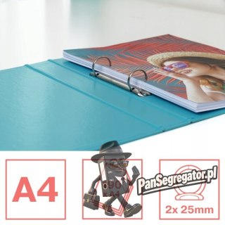 Segregator A4/35/2 ringi COLOUR`ICE niebieski 626497 ESSELTE