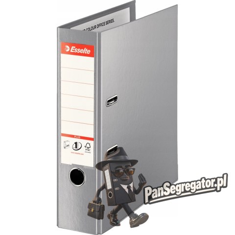 Segregator A4/80mm szary ESSELTE PLUS VIVIDA No.1 81188