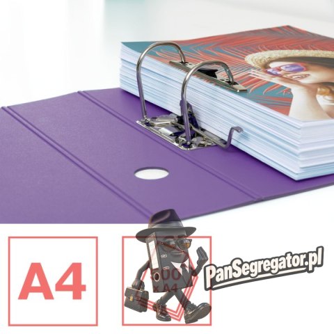 Segregator ESSELTE Colour`Breeze z polyfoamu A4 82mm lawendowy 628428