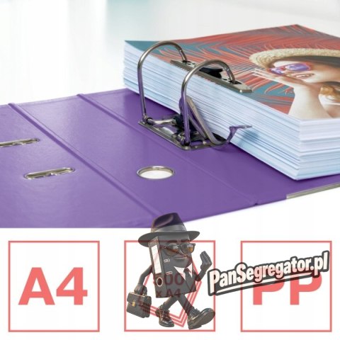 Segregator ESSELTE No.1 Colour`Breeze 75mm lawendowy 628432