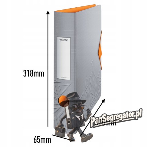 Segregator Leitz 180° Active Urban Chic 65 mm, szary 11170088