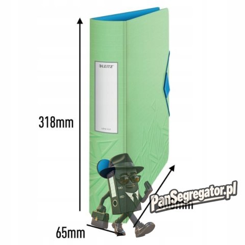 Segregator Leitz 180° Active Urban Chic 65 mm, zielony 11170050