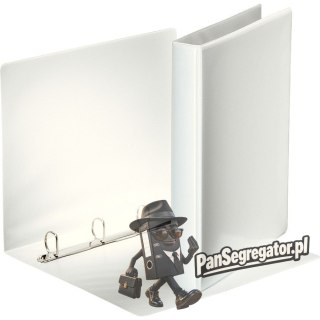 Segregator PANORAMA A4 4DR/25 44mm biały ofertowy ESSELTE 49702