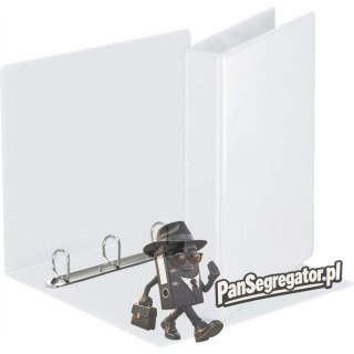 Segregator PANORAMA A4 4DR/30 51mm biały ofertowy 49703 ESSELTE