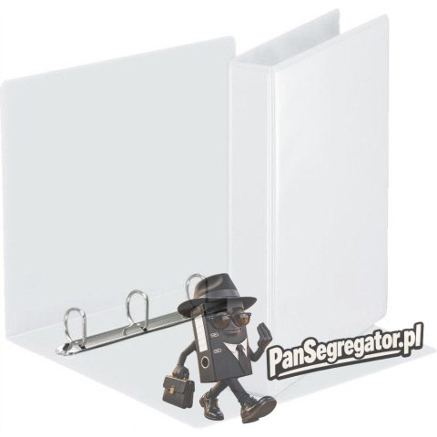 Segregator PANORAMA A4 4DR/30 51mm biały ofertowy 49703 ESSELTE