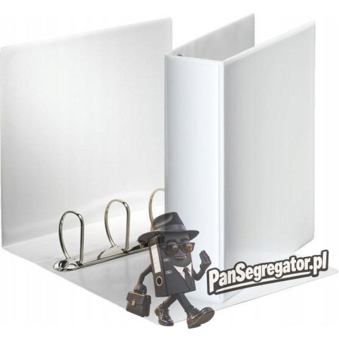 Segregator PANORAMA A4 4DR/60 86mm biały ofertowy 49706 ESSELTE