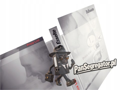 Segregator PANORAMA A4+ 4RR/16 29mm biały ofertowy LEITZ 42820001