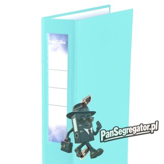 Segregator PETITE OFFICE A4/50mm pastelowy zielony jasny PO54713 STRIGO