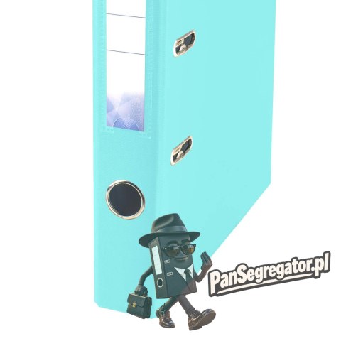 Segregator PETITE OFFICE A4/50mm pastelowy zielony jasny PO54713 STRIGO