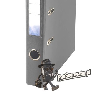 Segregator PETITE OFFICE A4/50mm szary PO10467 STRIGO
