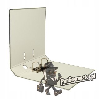 Segregator na dokumenty A4 50mm CLASSIC szary 400143827 BANTEX BUDGET