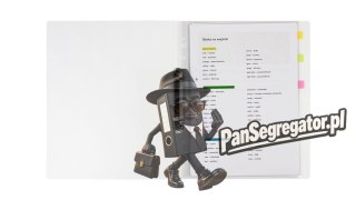 Segregator na dokumenty A4 PP 2 ringi 20mm wzór Piłka SEN-A4-02 BIURFOL