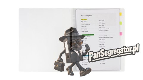 Segregator na dokumenty A4 PP 2 ringi 20mm wzór Piłka SEN-A4-02 BIURFOL