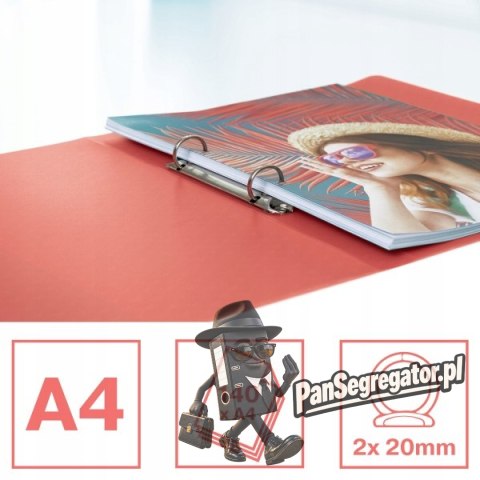 Segregator ringowy Esselte Colour`Breeze 2 RR 25 mm koralowy 628435