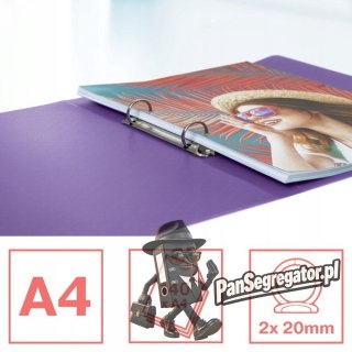 Segregator ringowy Esselte Colour`Breeze 2 RR 25 mm lawendowy 628436