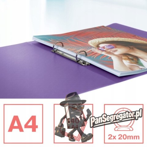 Segregator ringowy Esselte Colour`Breeze 2 RR 25 mm lawendowy 628436