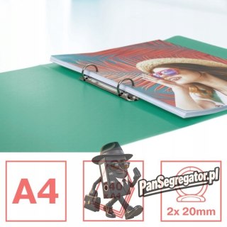 Segregator ringowy Esselte Colour`Breeze 2 RR 25 mm zielony 626243