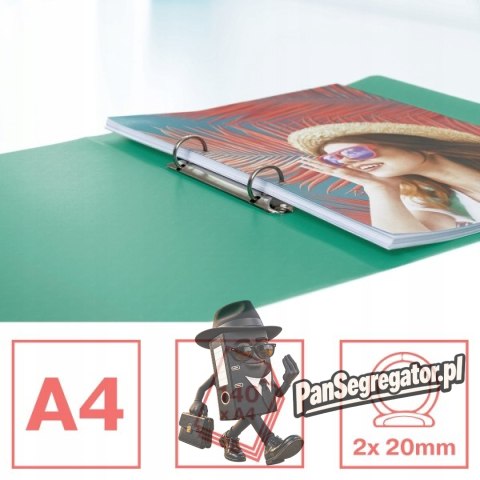 Segregator ringowy Esselte Colour`Breeze 2 RR 25 mm zielony 626243
