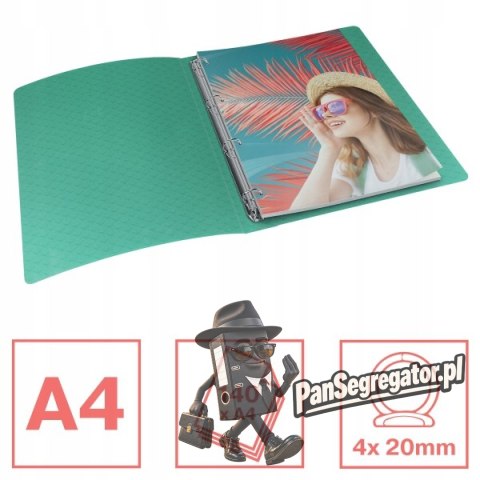 Segregator ringowy Esselte Colour`Breeze 4 RR 25 mm zielony 626248