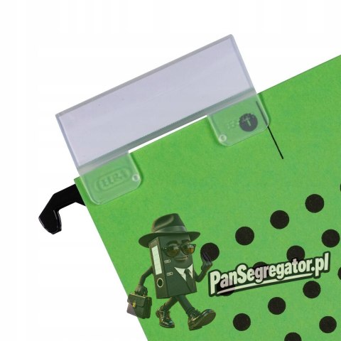 Teczka zawieszana na dokumenty CHIC A4 zielona ELBA 100552088