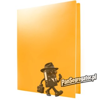 Skoroszyt A4 PP pomarańczowy BT619-P TETIS