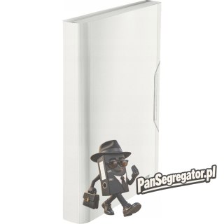 Teczka 6przegródek LEITZ STYLE A4 Arktyczna biel 250k 39570004