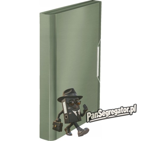 Teczka 6przegródek LEITZ STYLE A4 Pistacjowa zieleń 250k 39570053