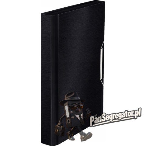 Teczka 6przegródek LEITZ STYLE A4 Satynowa czerń 250k 39570094