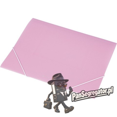 Teczka A4 z gumką EX4302 fioletowa transparentna 0410-0034-15 PantaPlas