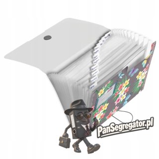Teczka harmonijkowa na dokumenty A4 PP 12 przegródek LADYLIKE BUTTERFLIES 50044023 HERLITZ