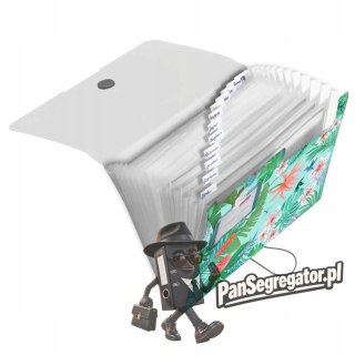 Teczka harmonijkowa na dokumenty A4 PP 12 przegródek LADYLIKE JUNGLE 50044016 HERLITZ
