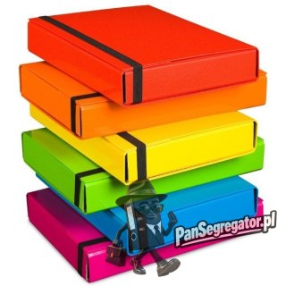 Teczka z gumką BOX CARIBIC różowa 5cm 341/11 VAUPE