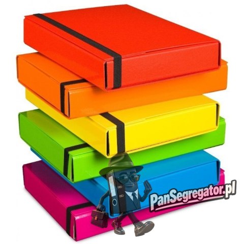 Teczka z gumką BOX CARIBIC różowa 5cm 341/11 VAUPE