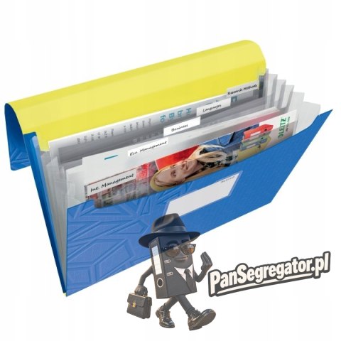 Teczka z przegródkami Leitz Urban Chic, PP, A4, mieści 250 kartek, niebieska 39970032