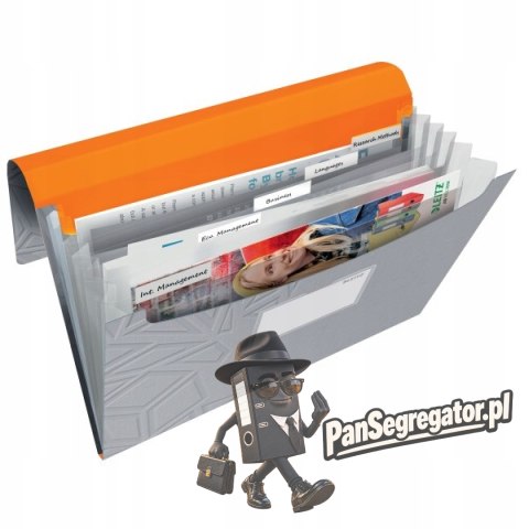 Teczka z przegródkami Leitz Urban Chic, PP, A4, mieści 250 kartek, szara 39970088