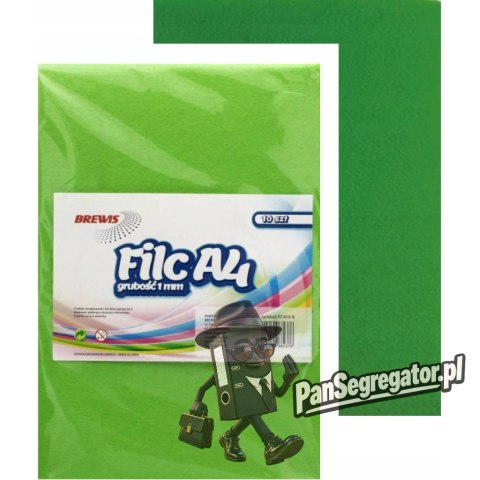 Filc kolorowy A4 (10) j.zielony FC-410-8 BREWIS