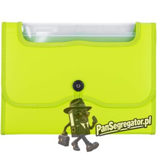 Teczka harmonijkowa z gumką 13-przegródek okno PVC RIO zielona 38128 GREEN DELI