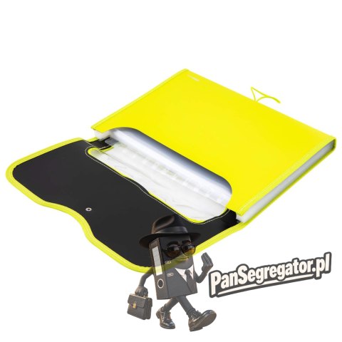 Teczka harmonijkowa z gumką 13-przegródek okno PVC RIO zielona 38128 GREEN DELI