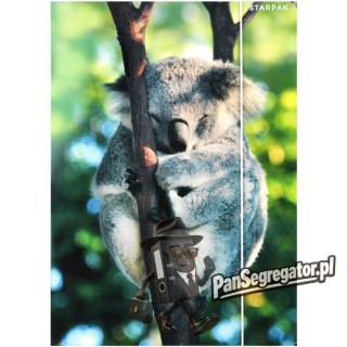 Teczka z gumką A4 WILD ANIMAL KOALA 559730 STARPAK