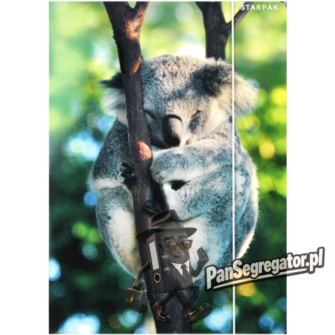 Teczka z gumką A4 WILD ANIMAL KOALA 559730 STARPAK