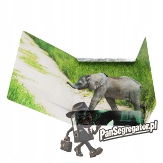 Teczka z gumką A4 WILD ANIMAL KOALA 559730 STARPAK