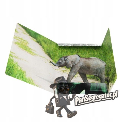 Teczka z gumką A4 WILD ANIMAL KOALA 559730 STARPAK