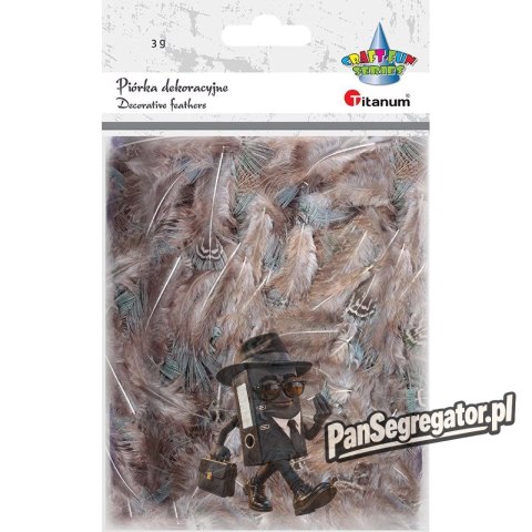 Piórka Craft-Fun Series 3g brązowy 438841 TITANUM