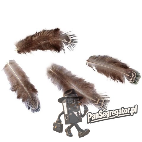 Piórka Craft-Fun Series 3g brązowy 438841 TITANUM