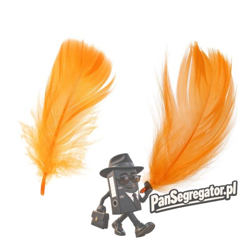 Piórka Craft-Fun Series pomarańczowy 438836 TITANUM